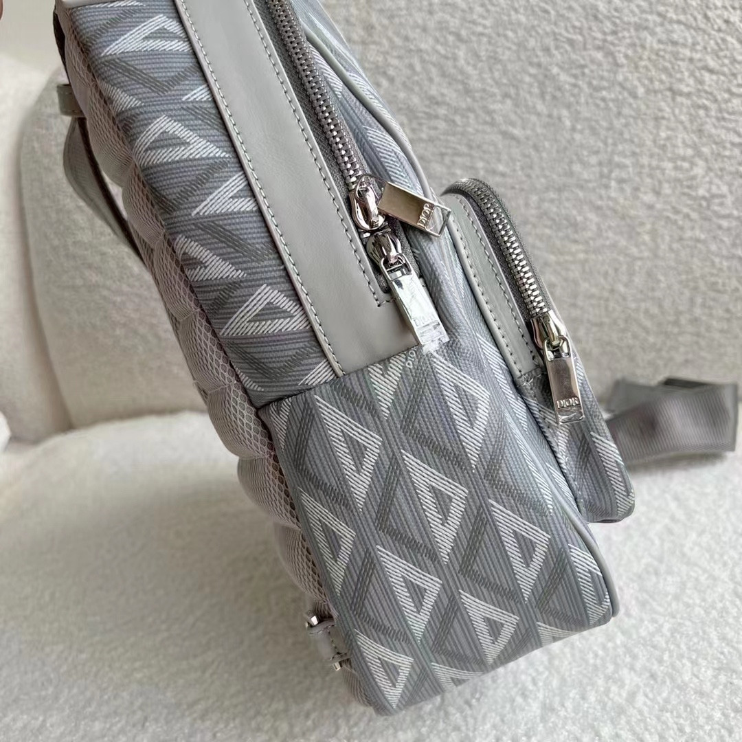 Dior Backpack