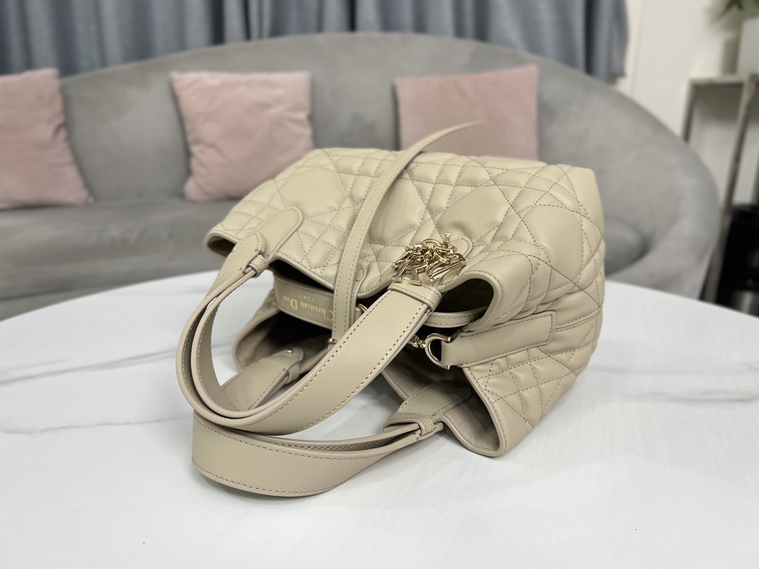 Dior Toujours Bag