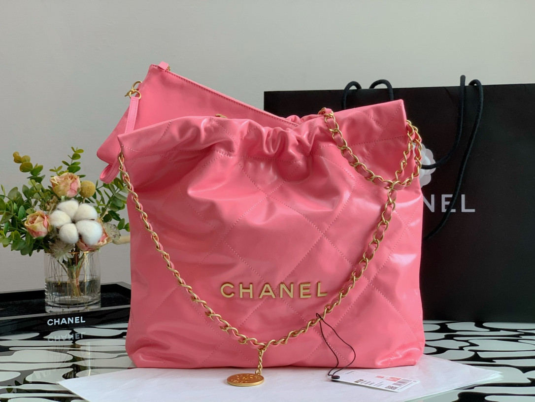 Chanle 22 Backpack