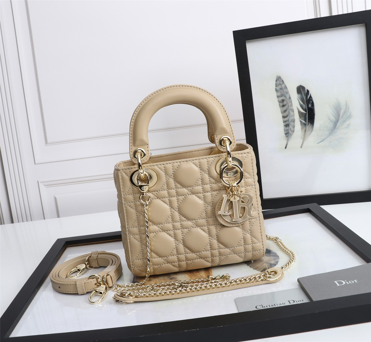 Mini Lady Dior Bag
