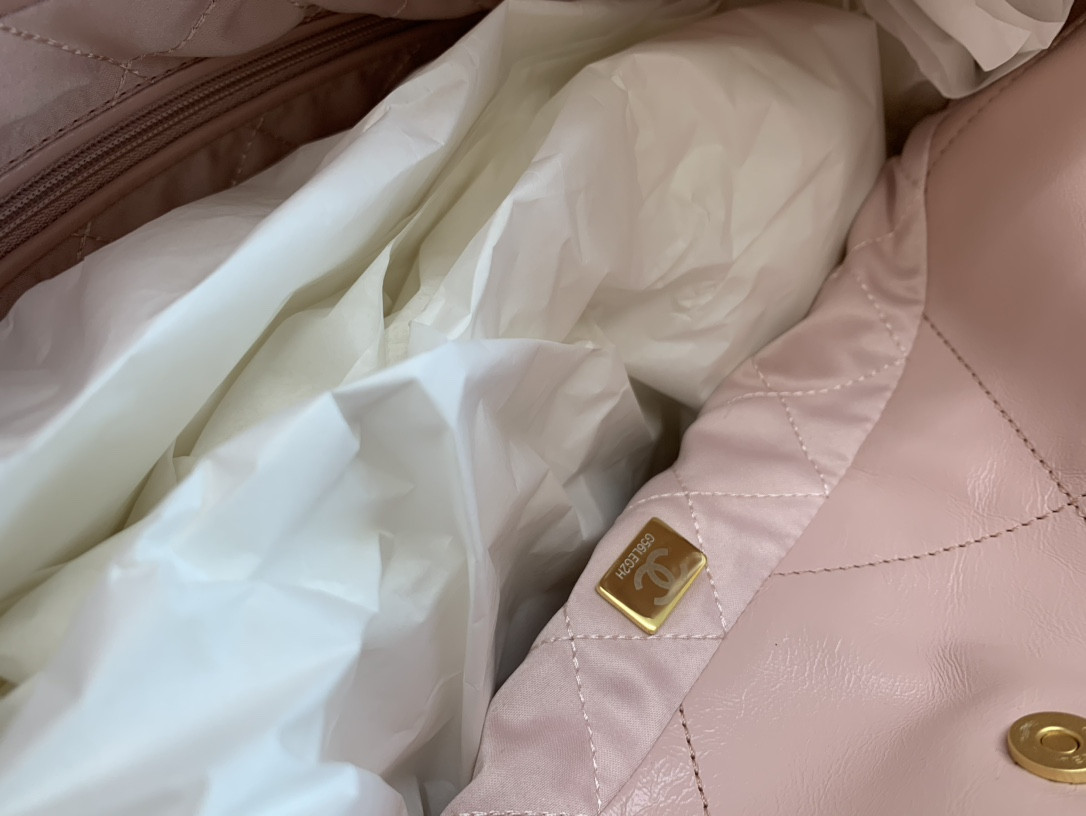 Chanle 22 Backpack