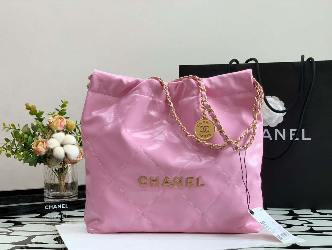 Chanle 22 Backpack