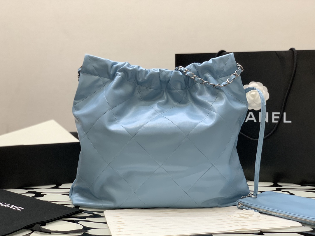 Chanle 22 Backpack
