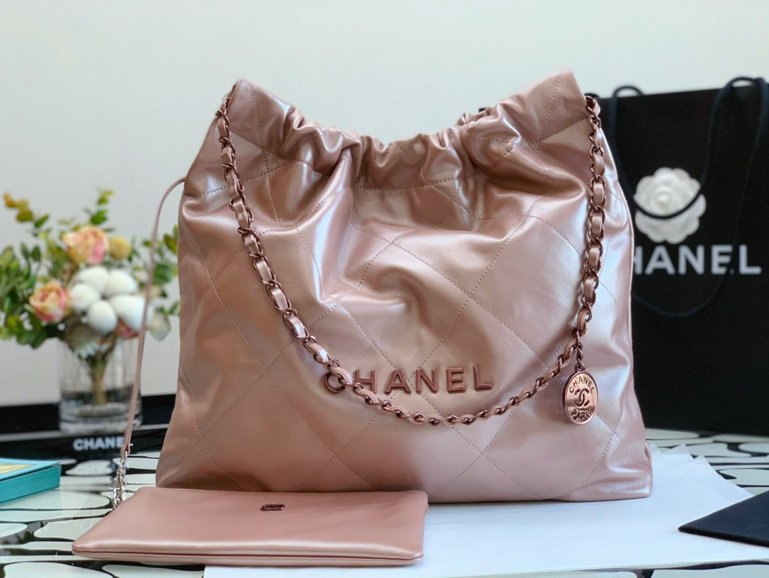 Chanle 22 Backpack