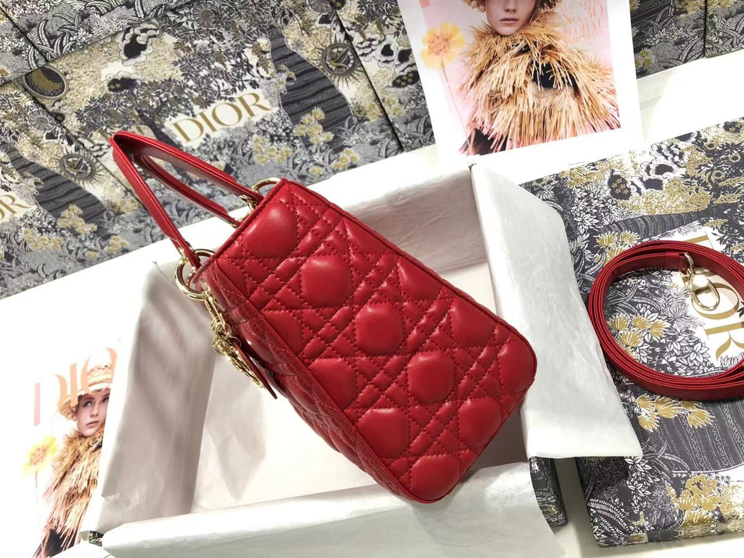 Medium Lady Dior Bag