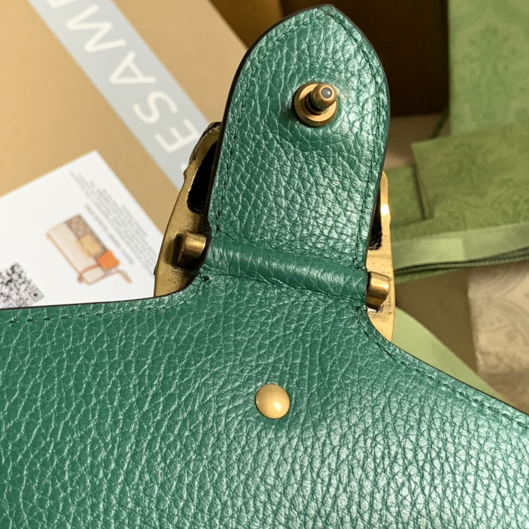 G*u*i dionysus bag