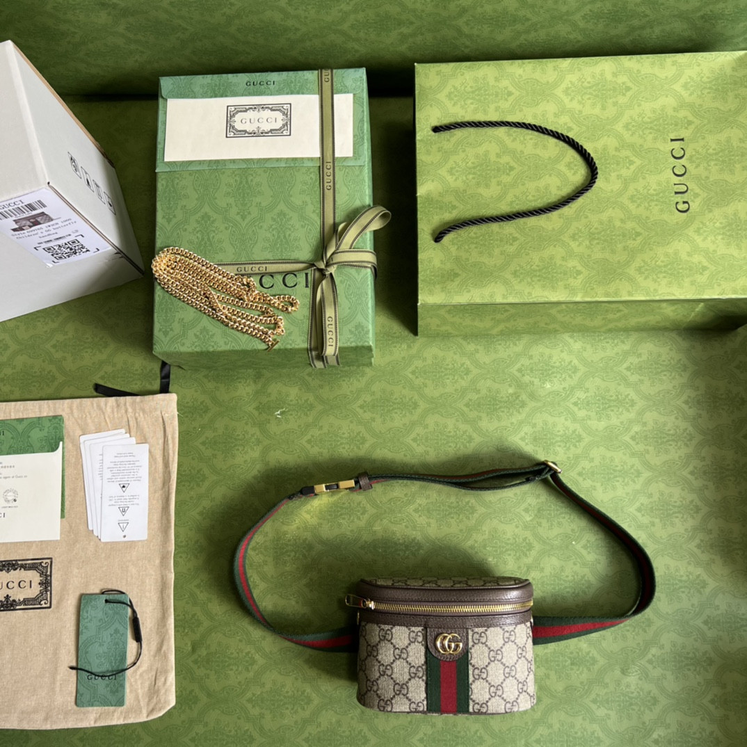 G*u*i ophidia bag